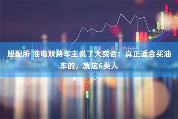 股配所 油电双持车主说了大实话：真正适合买油车的，就这6类人