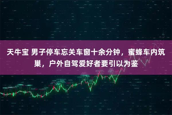 天牛宝 男子停车忘关车窗十余分钟，蜜蜂车内筑巢，户外自驾爱好者要引以为鉴