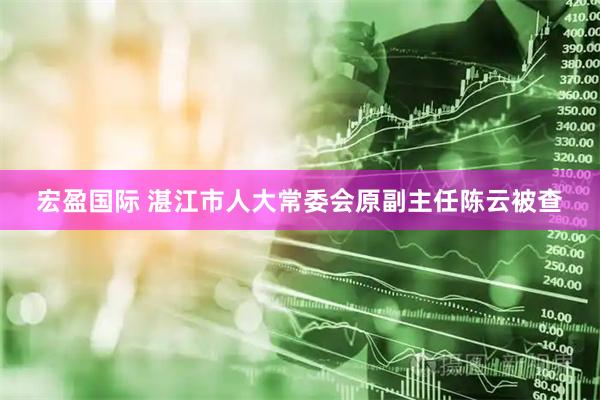 宏盈国际 湛江市人大常委会原副主任陈云被查